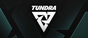 Tundra withdraw from the DreamLeague Season 26 due to roster member overwork..