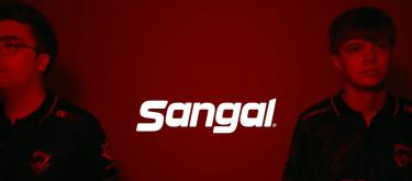 Sangal official statement: They have parted ways with 21-year-old rifleman h0kx.
